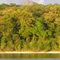 Wooded Oklahoma Shoreline