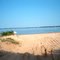 Lake Texoma Beach