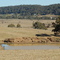 Views of this area