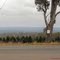 Looking West From King Burgers Over The Christmas Tree Farm