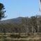 Mt Sugarloaf from near Buchanan