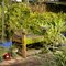 Overgrown Garden Seat