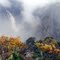 Wollomombi in the mist