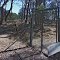  Dingo Fence Gate. Wollomombi. NSW