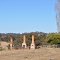 Three Chimneys
