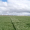Wongan Hills, South-west Western Ausralia