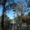Illawarra Fly