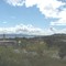 Blackbutt (shellharbour )