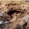 Bank damaged by Fossickers (Protected Area)