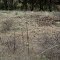 Pull off chat 3. Mullock Piles left from 1850's Gold Rush. Peel Catchment Safari