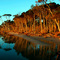 Grantville beach reflection