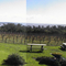 View from the gurdies winery - The Gurdies - Victoria - Australia