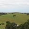Glen Forbes Hills