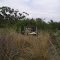The Gurdies Conservation Reserve