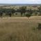 Looking northeast over the Warialda Creek valley