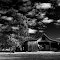 Farm Shed