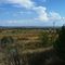 Horton Valley from lookout near Warialda