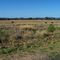 Gwydir Valley from near Gravesend