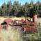 Sawmill boiler near Waratah