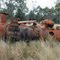 Old boiler engine on the road to Waratah