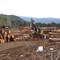 Forest operation