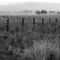 Wivenhoe Dam (possibly once submerged before the drought - 2007)