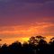 Sunset at Normanhurst