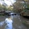 Devlins creek cascade