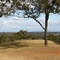 Looking South toward Blacktown