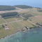 Where have all the vinyards gone?