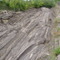 Glaciers (gleceri)