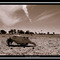 Winton Qld