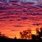 Sunrise at Winton
