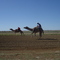 Winton Camel Race 2007