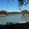 an Island on the Murray