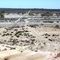 6 k's NW Perry Sandhills