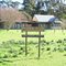 Alison Homestead - Wyong District Museum. Cape Road, Wyong - Built by Charles Alison, c 1885.