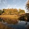 Creek, autumn trees and clouds