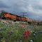 Engine 5171 & 4622 pulling thru the wildflowers