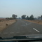 SheepOnRoad