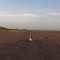 Wyndham airstrip