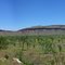 50 kms from Wyndham Western Australia