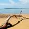 Coochiemudlo Island