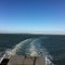 Ferry