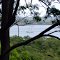 Coochiemudlo Island, a little south of Brisbane, Australia.