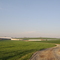Dairy Farm