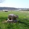 Sequoyah Birthplace Memorial Site-Vonore-TN- USA