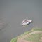 Aerial photo of car ferry