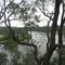 Charles Kemp Reserve Ebenezer