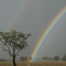 Dig here for pot of gold